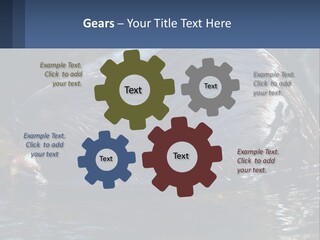 Coast Sea Coastal PowerPoint Template