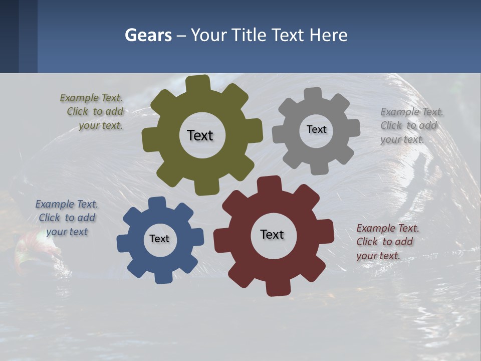 Coast Sea Coastal PowerPoint Template