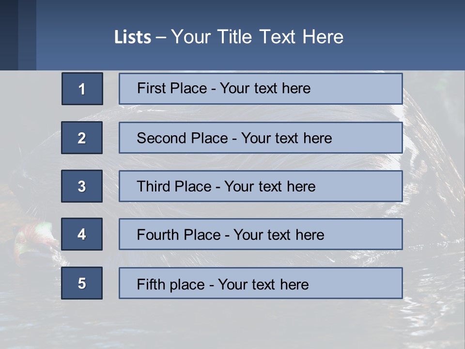 Coast Sea Coastal PowerPoint Template