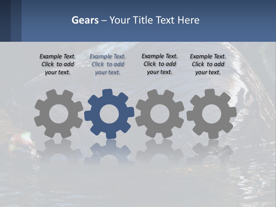 Coast Sea Coastal PowerPoint Template
