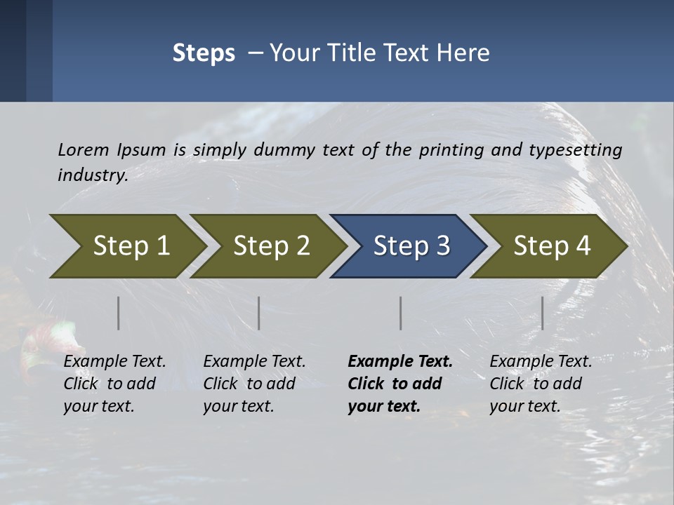 Coast Sea Coastal PowerPoint Template