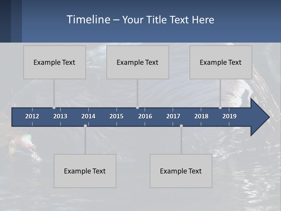 Coast Sea Coastal PowerPoint Template