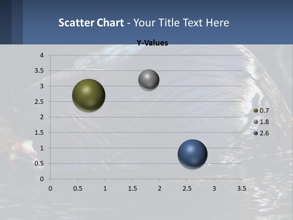 Coast Sea Coastal PowerPoint Template