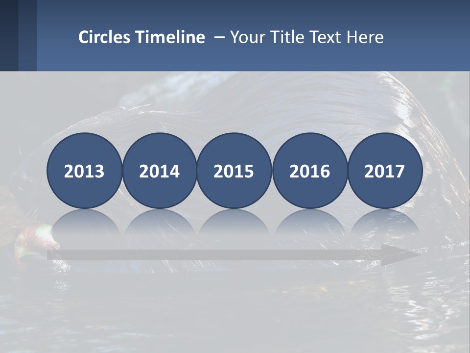 Coast Sea Coastal PowerPoint Template