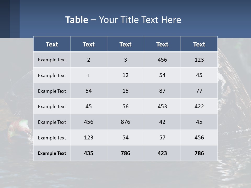 Coast Sea Coastal PowerPoint Template