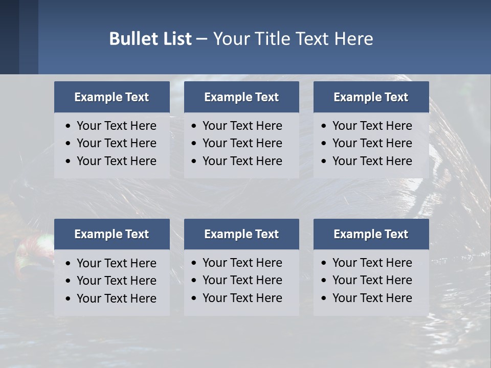 Coast Sea Coastal PowerPoint Template