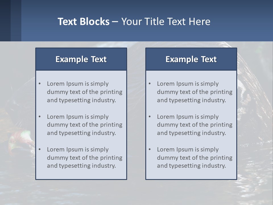 Coast Sea Coastal PowerPoint Template