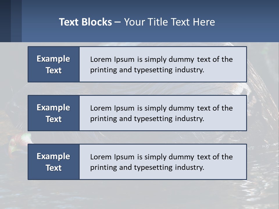 Coast Sea Coastal PowerPoint Template