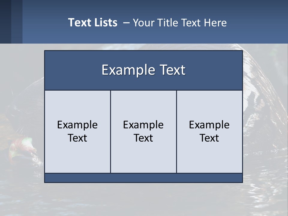 Coast Sea Coastal PowerPoint Template