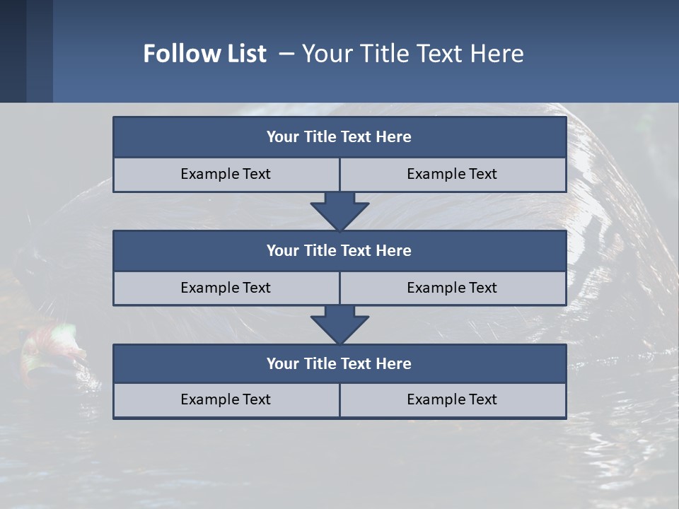 Coast Sea Coastal PowerPoint Template