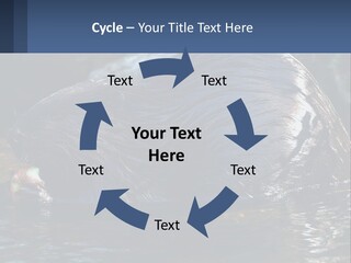 Coast Sea Coastal PowerPoint Template