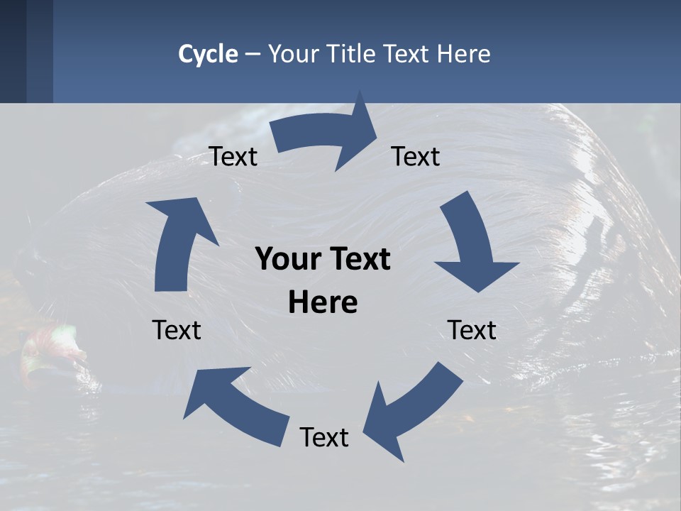 Coast Sea Coastal PowerPoint Template