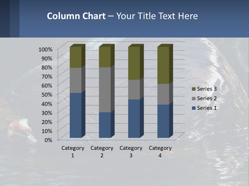 Coast Sea Coastal PowerPoint Template
