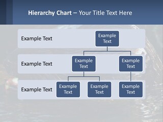 Coast Sea Coastal PowerPoint Template