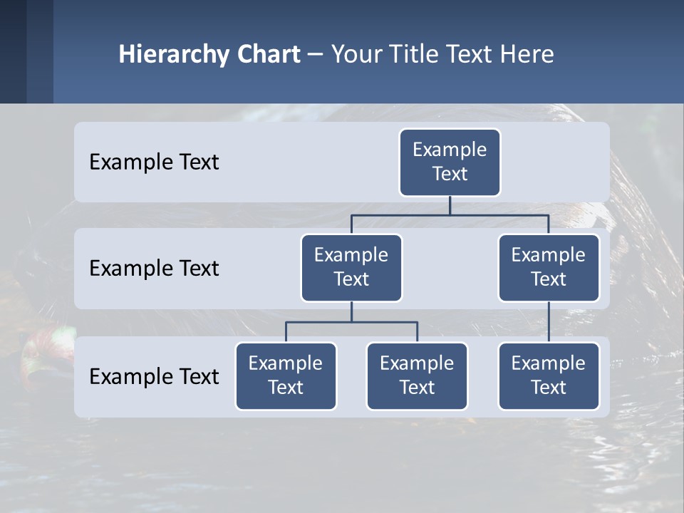 Coast Sea Coastal PowerPoint Template