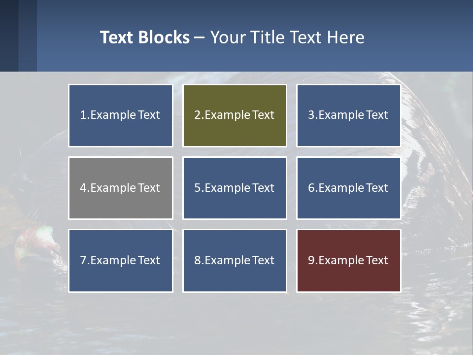 Coast Sea Coastal PowerPoint Template