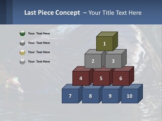 Coast Sea Coastal PowerPoint Template