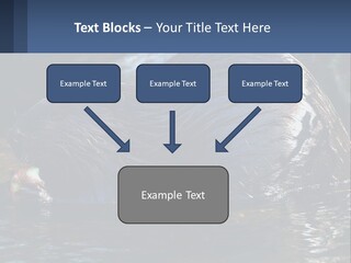 Coast Sea Coastal PowerPoint Template