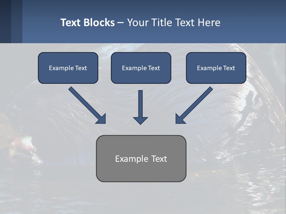 Coast Sea Coastal PowerPoint Template