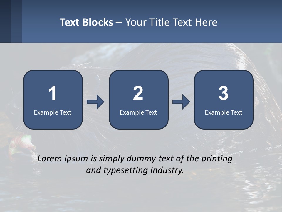 Coast Sea Coastal PowerPoint Template