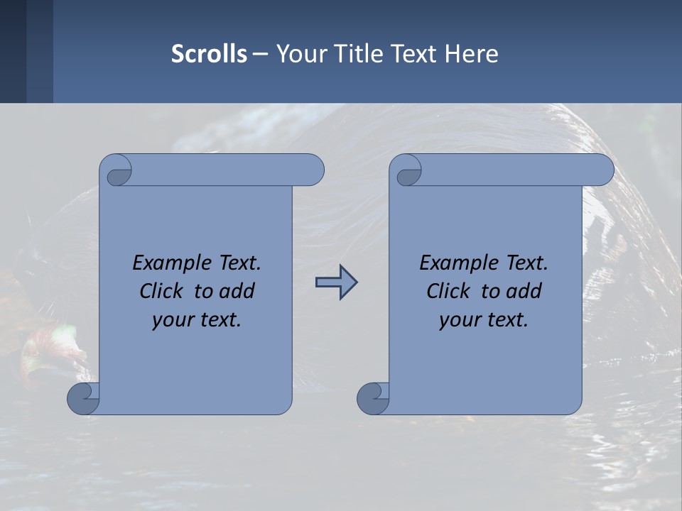 Coast Sea Coastal PowerPoint Template