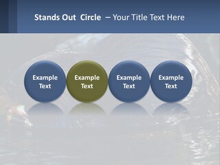 Coast Sea Coastal PowerPoint Template