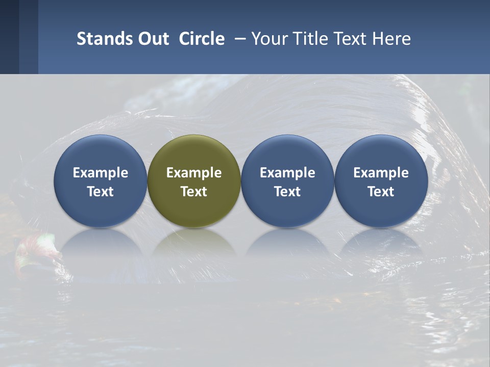 Coast Sea Coastal PowerPoint Template