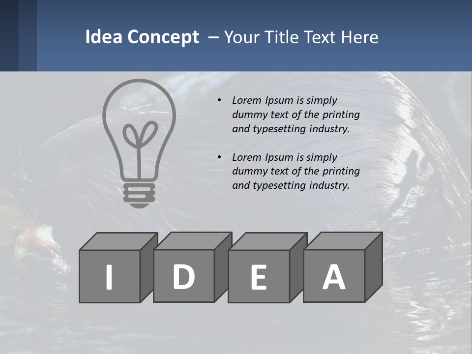Coast Sea Coastal PowerPoint Template