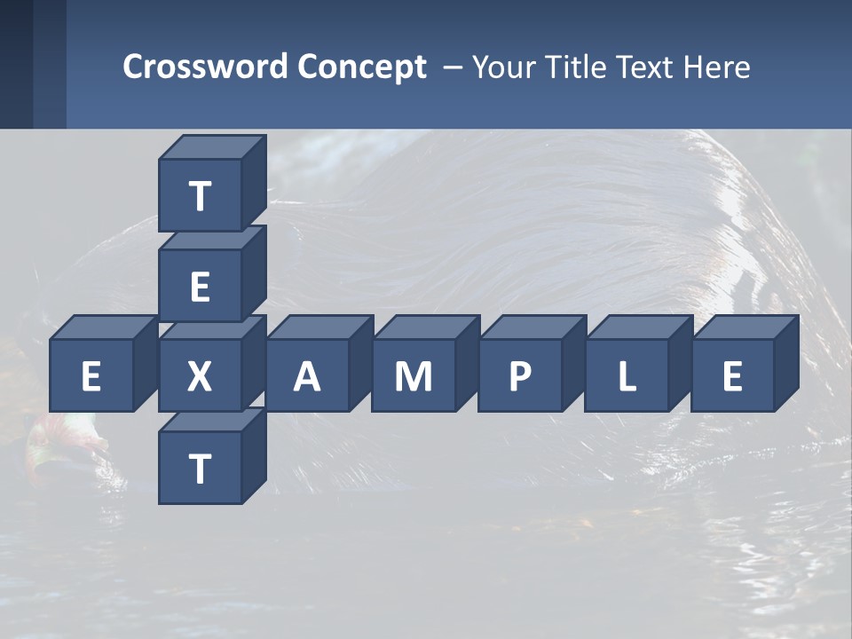 Coast Sea Coastal PowerPoint Template
