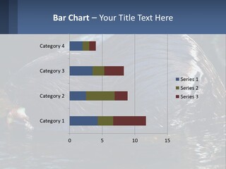 Coast Sea Coastal PowerPoint Template