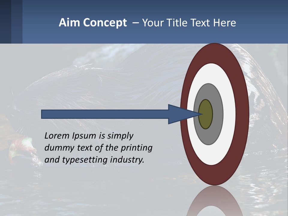 Coast Sea Coastal PowerPoint Template