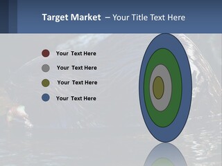 Coast Sea Coastal PowerPoint Template