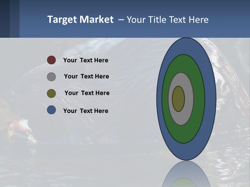 Coast Sea Coastal PowerPoint Template