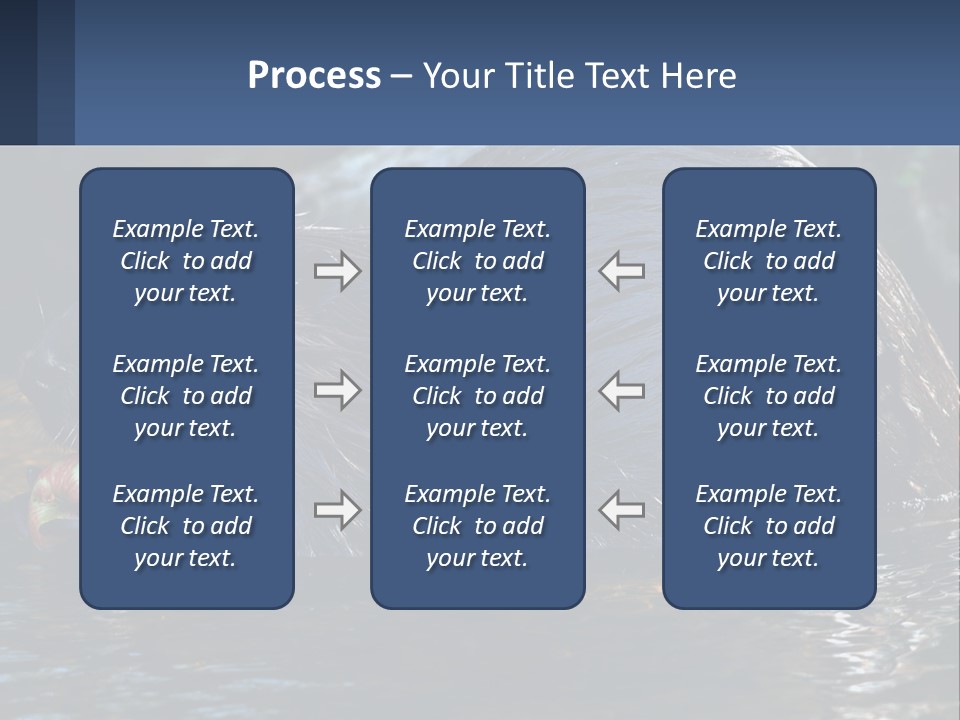 Coast Sea Coastal PowerPoint Template