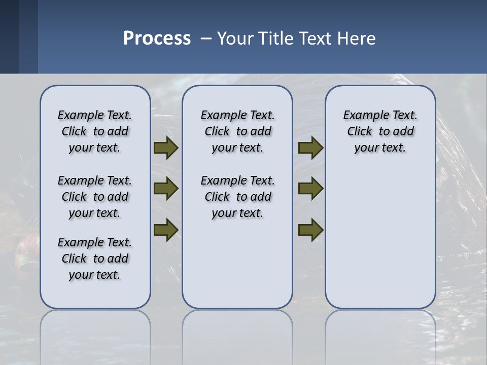 Coast Sea Coastal PowerPoint Template