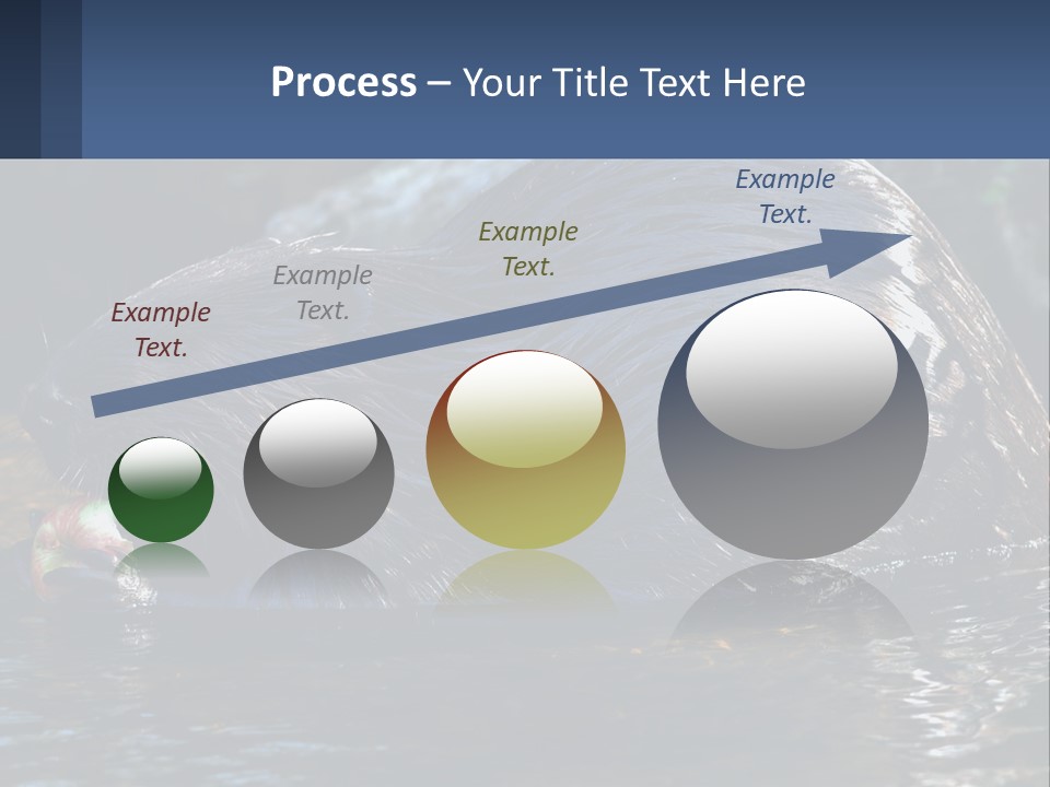 Coast Sea Coastal PowerPoint Template