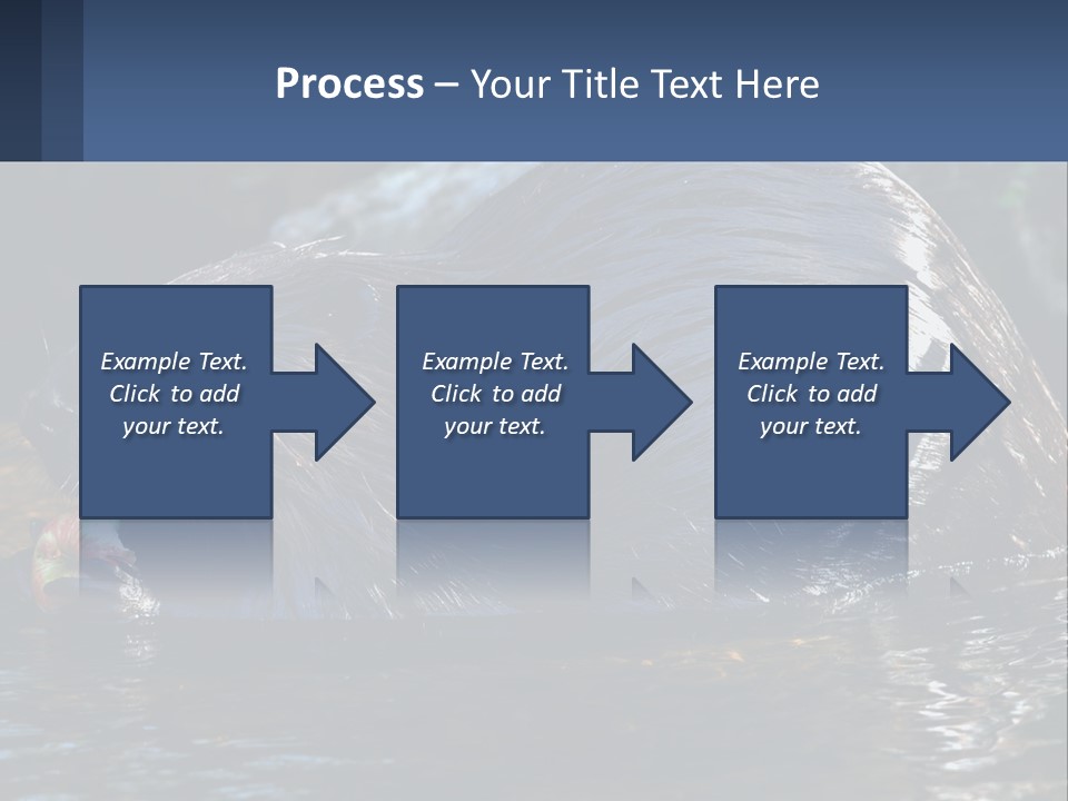 Coast Sea Coastal PowerPoint Template