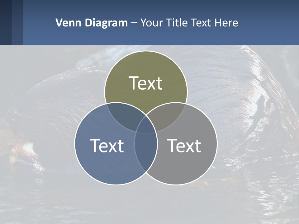 Coast Sea Coastal PowerPoint Template