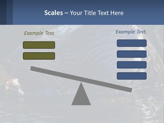 Coast Sea Coastal PowerPoint Template