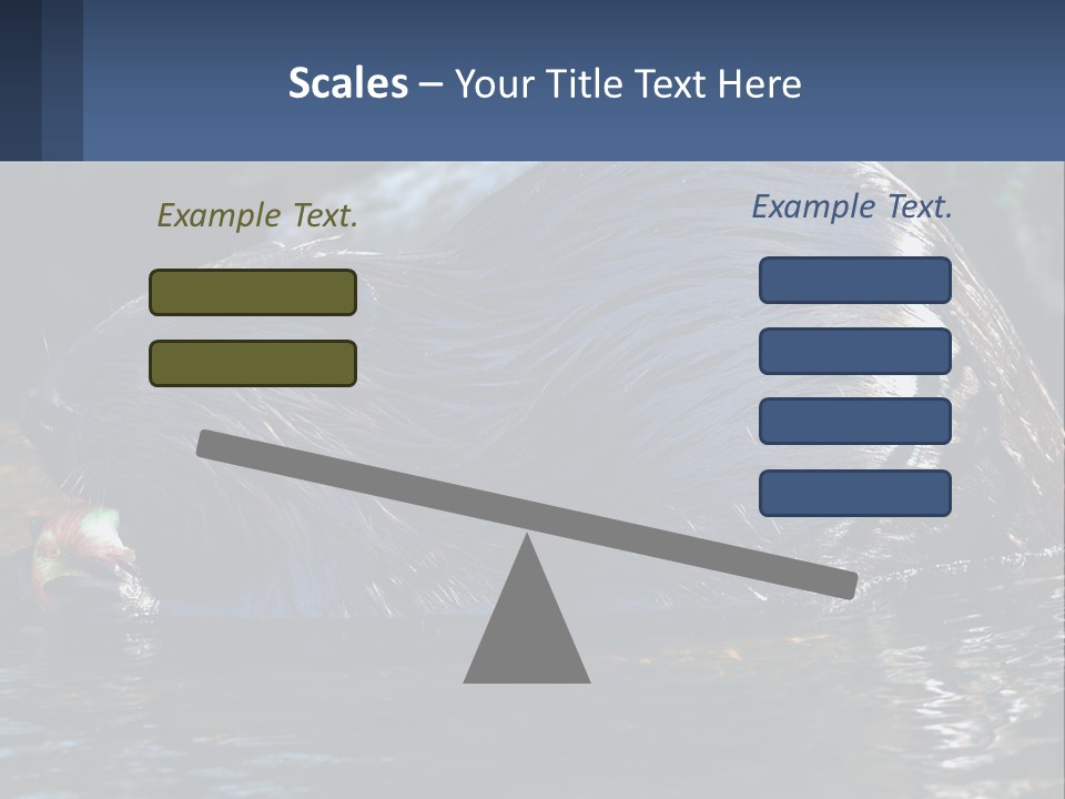 Coast Sea Coastal PowerPoint Template