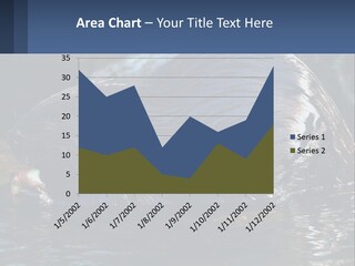 Coast Sea Coastal PowerPoint Template