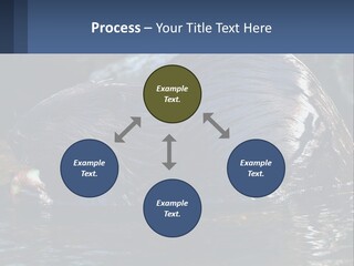 Coast Sea Coastal PowerPoint Template