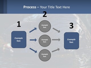 Coast Sea Coastal PowerPoint Template