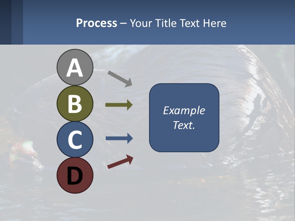 Coast Sea Coastal PowerPoint Template