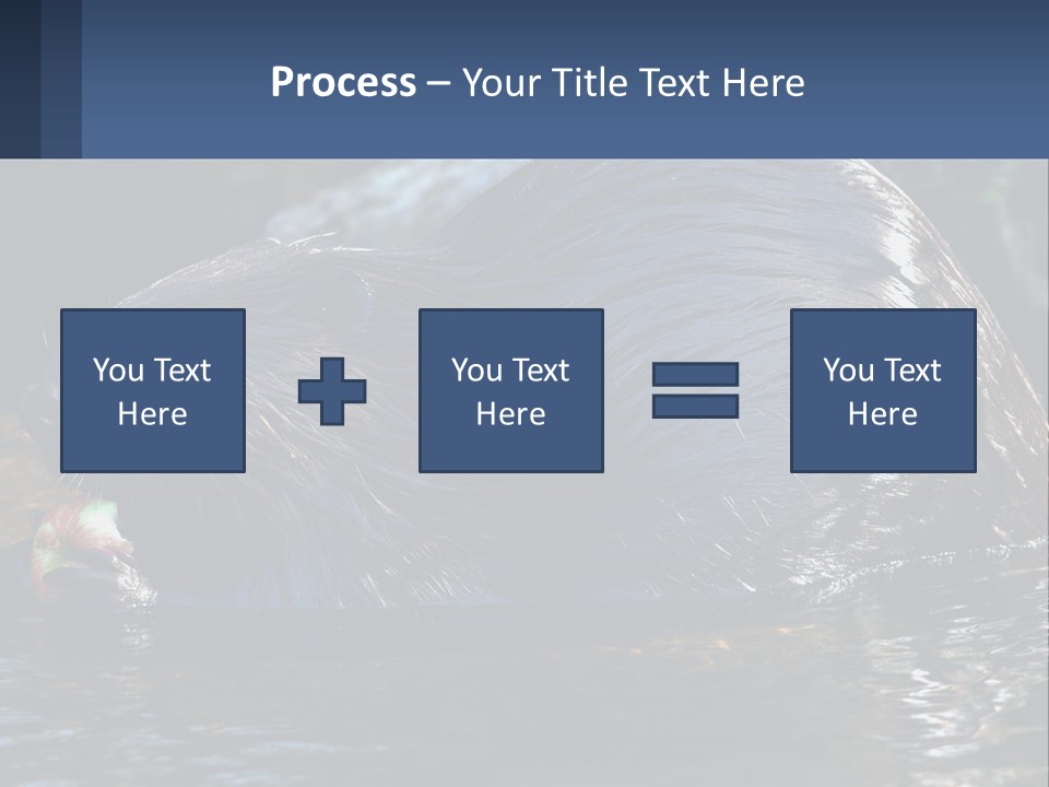 Coast Sea Coastal PowerPoint Template