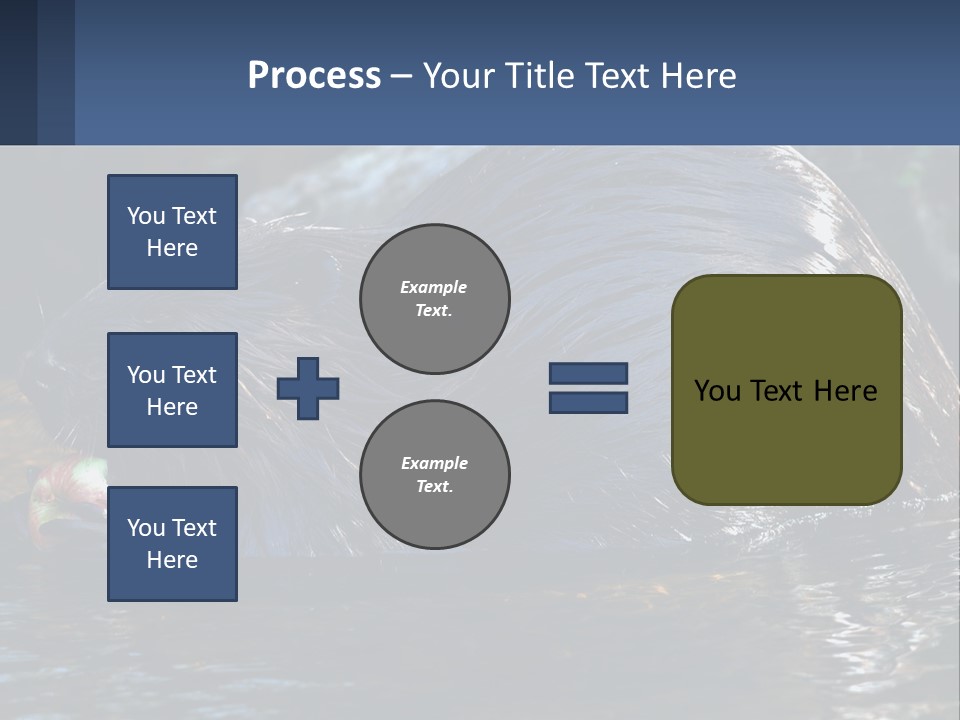 Coast Sea Coastal PowerPoint Template