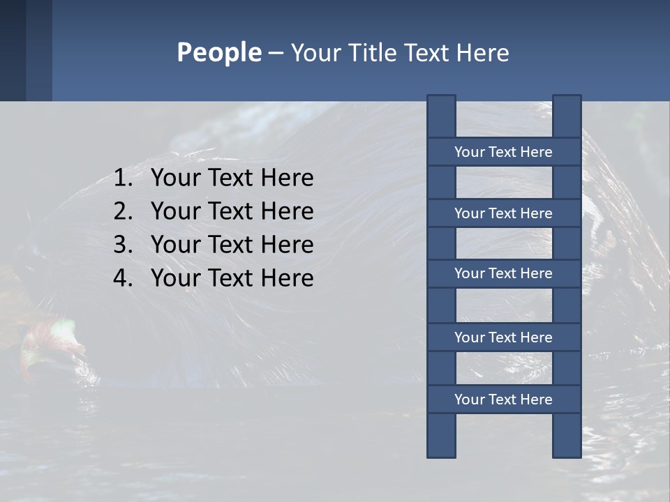 Coast Sea Coastal PowerPoint Template