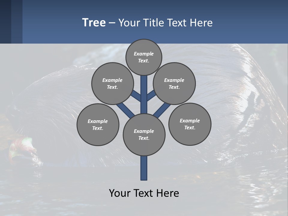 Coast Sea Coastal PowerPoint Template