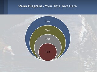 Coast Sea Coastal PowerPoint Template
