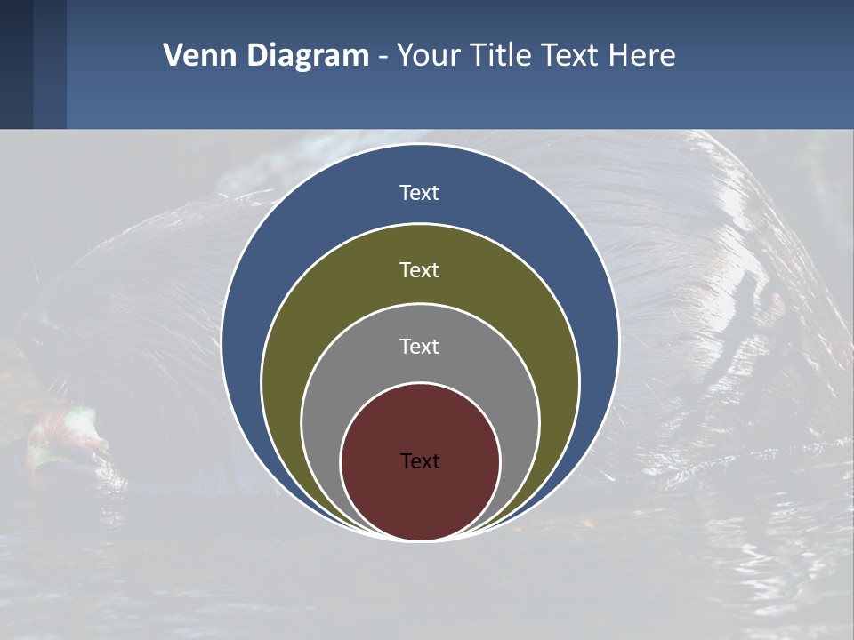 Coast Sea Coastal PowerPoint Template
